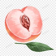 麻豆传媒视频APP应用